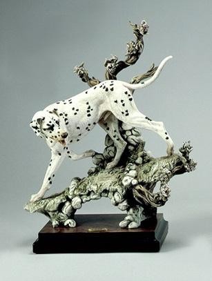 Giuseppe Armani Dalmation 