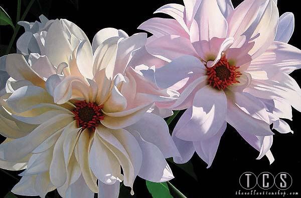 Brian Davis Delightful Dahlias 