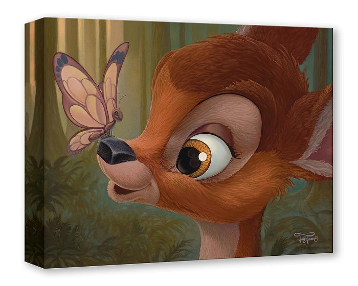 Jared Franco Nosey Butterfly Gallery Wrapped Giclee On Canvas