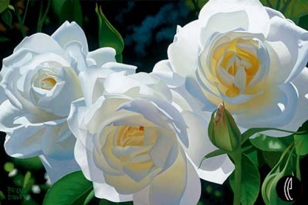 Brian Davis Sunny Afternoon Roses 