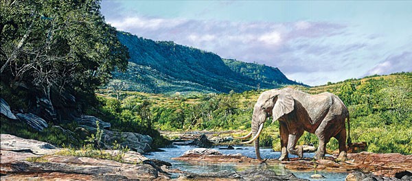 Guy Combes Monarch of Mwaluganje MASTERWORK EDITION ON Canvas