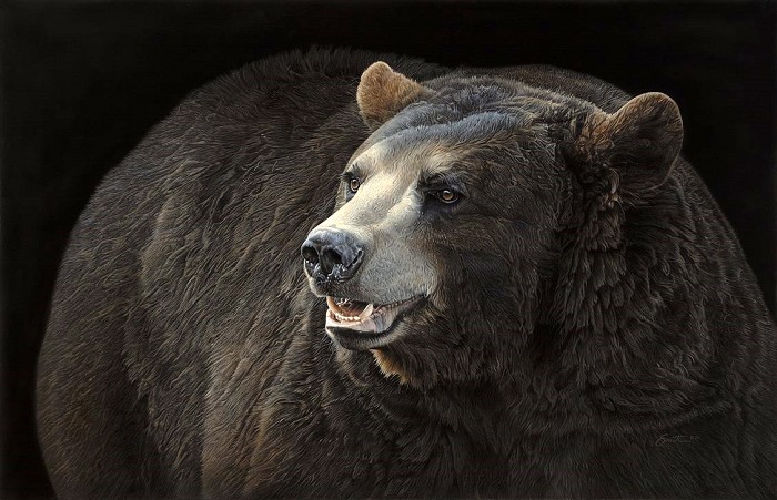 Daniel Smith Black on Black Bear Giclee On Canvas