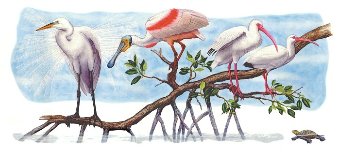 Flick Ford Shorebirds in the Mangroves Masterworks Edition Giclee On Canvas