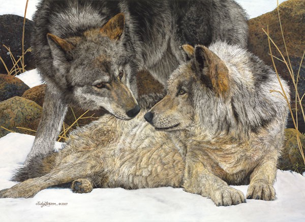 Judy Larson The Alphas Canvas