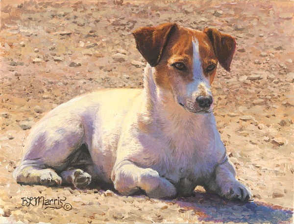 Bonnie Marris Tough as Stones SMALLWORK EDITION ON 