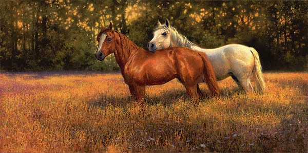 Bonnie Marris Summer Fields 