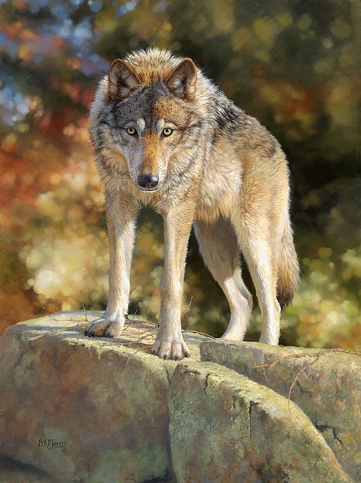 Bonnie Marris Eye to Eye Canvas