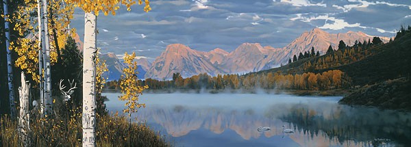 Rod Frederick POINT OF VIEW 