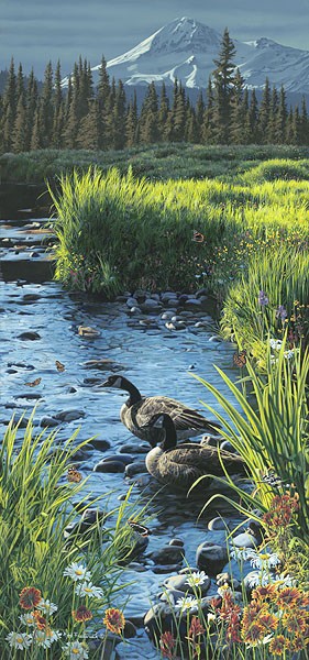 Rod Frederick Summer Place 