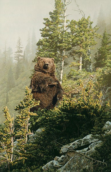 Rod Frederick In Tall Timber 