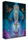 Merlin's Domain