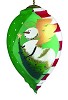 Neqwa