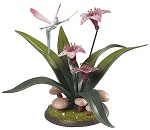 Fantasia Dew Drop Fairy Celebration Of Spring