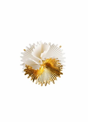 Lladro Jewelry-Actinia Brooch. White and Golden luster