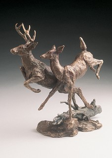 Mark Hopkins-Deer