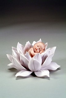 Giuseppe Armani-Water Lily Baby