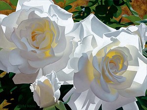 Brian Davis-White Roses Aglow