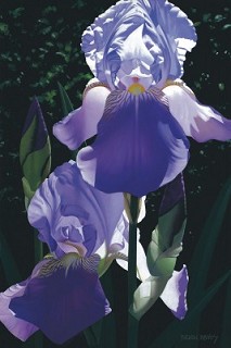 Brian Davis-Two Blue Irises