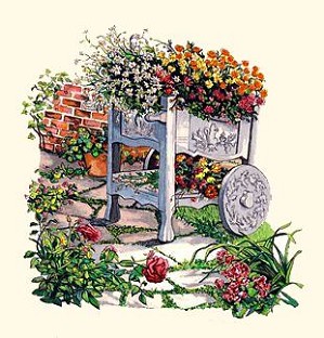 Susan Rios-Side Garden