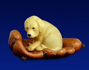 Will Bullas-Puppy Glove