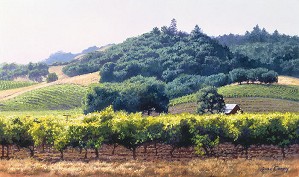 June Carey-Summer Vineyard