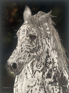 Judy Larson-American Horse Limited Edition