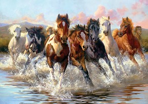 Bonnie Marris-Morning Run MASTERWORK EDITION ON