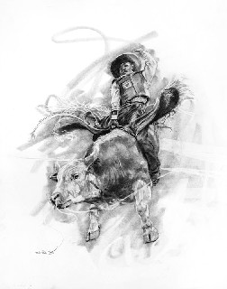 Robert Jackson-The Steer Graphite Pencil on Paper