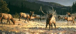 Nancy Glazier-Rocky Mountain Meadow By Nancy Glazier Giclee On Canvas  Artist Proof