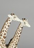 Giraffes by Lladro