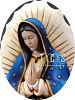 Virgen De Guadalupe -