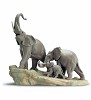 Elephants 1995-01