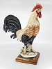 Rooster - Signed