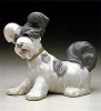 Skye Terrier 1969-85