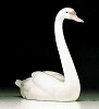 Graceful Swan 1984-2000