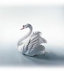 Swan with Wings Spread 1984-07