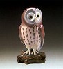 Great Gray Owl 1987-90