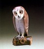 Barn Owl 1987-90