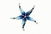 Swarovski Cantil Ocean Blue Starfish