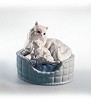 Kitty Care 2000-02