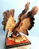 Great Argus Pheasant by Giuseppe Armani