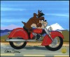 Acme Road Hog