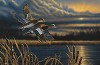 Widgeon - Out Front Limited Edition Print