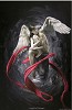 ANGEL OF TIME - ANGEL DEL TIEMPO