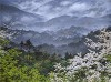 The Church In The Valley By Larry Dyke