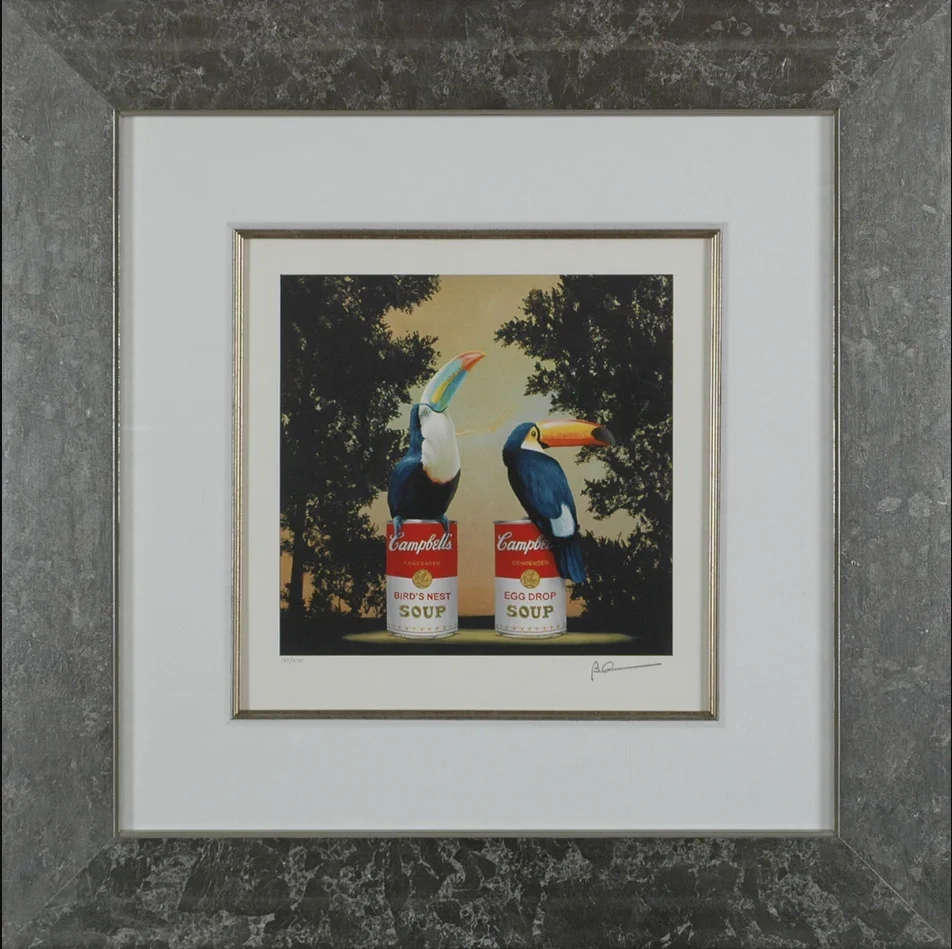 Robert Deyber-Toucans Framed