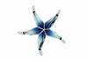 Swarovski Crystal - Swarovski Cantil Ocean Blue Starfish