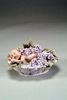 Giuseppe Armani - Lilac Baby
