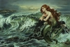 Heather Edwards - Drawn to the Shore Premiere Edition