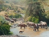 Guy Combes - Ancestral Oasis